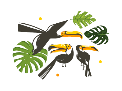 Toucan birds set art birds cartoon exotic illustration jungle leaves nature palm summer toucan tropical