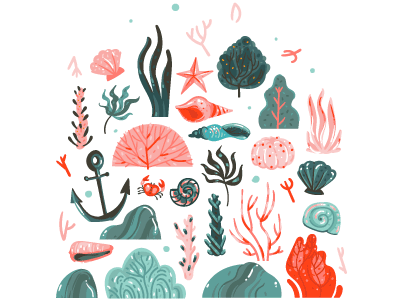 Seaweed