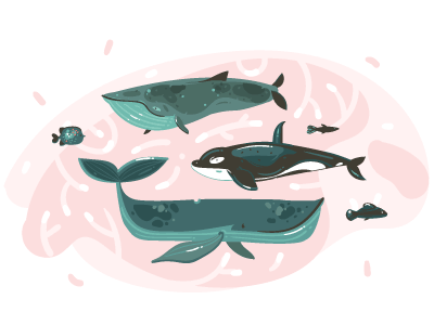 Whales Set animals cartoon fish illustration killer whale marine ocean sea undersea underwater whale