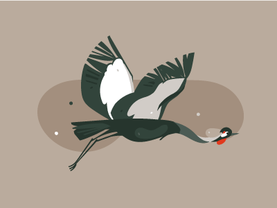 Crane Bird by Anastasy_helter on Dribbble