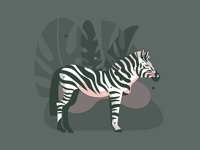 Zebra abstract animal animal art art cartoon collage design digital digital art flat illustration safari summer tropical vector wild wildlife zebra