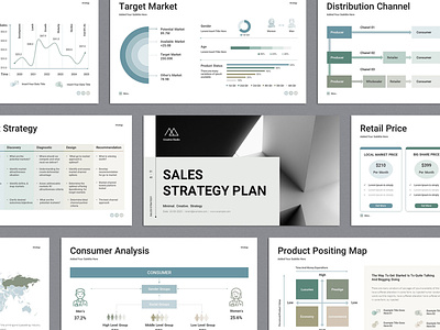 Sales Strategy Plan PowerPoint Presentation branding design powerpoint presentation template