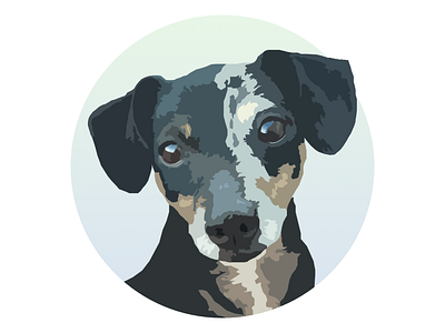 1 | 100 Circles: Dog Portrait of Odie 100 circles design dog illustration portrait puppy