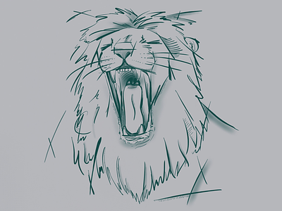 Lion Illustration doodle illustration lion procreate