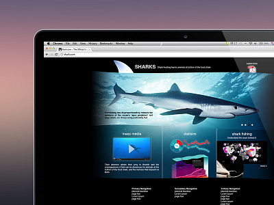 Sharks Homepage homepage photoshop shark ui web