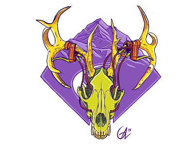 Coyote Dribble antlers coyote mountain mountain biking mountainbike skull