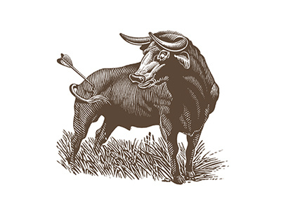 Bull's-eye arrow bull illustration roger xavier scratchboard