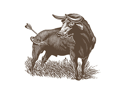 Bull's-eye arrow bull roger xavier illustration scratchboard