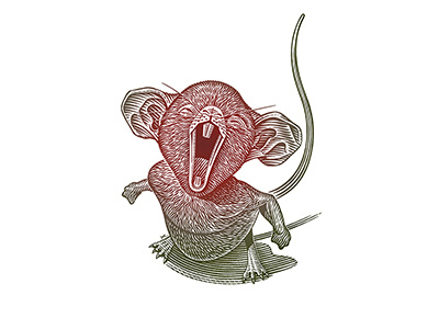 Mouse illustration woodcut mouse roger xavier scratchboard