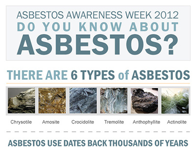 Asbestos Awareness Infographic infographic