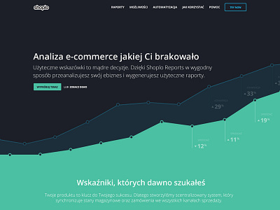 Shoplo Reports Landing Page