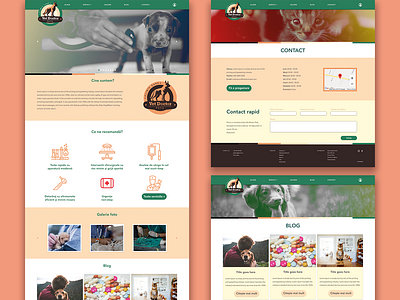 Vet Doctor Pets - Website branding design doctor graphic pets ui ux vet