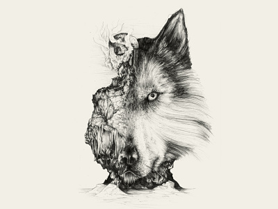 Dark Matter - The Husky & Cabin book illustration hand drawn illustration pencil