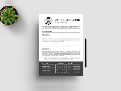 Anderson John Resume Template bankers resume clean resume creative resume cv doctors resume infographic resume job seekers manager cv template modern resume professional resume resume resume mac pages student resume word resume