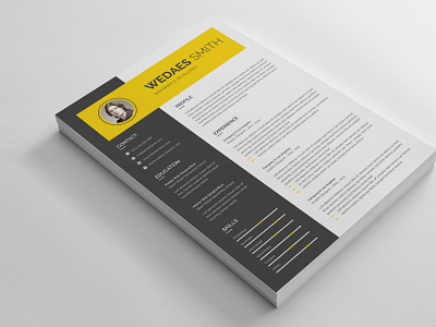 Resume bankers resume clean resume creative resume cv doctors resume infographic resume job seekers manager cv template modern resume professional resume resume resume mac pages student resume word resume