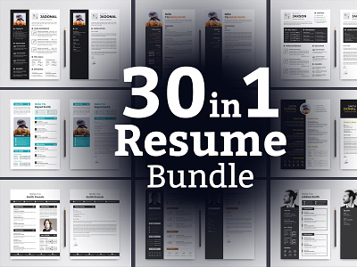 CV Bundle Resume