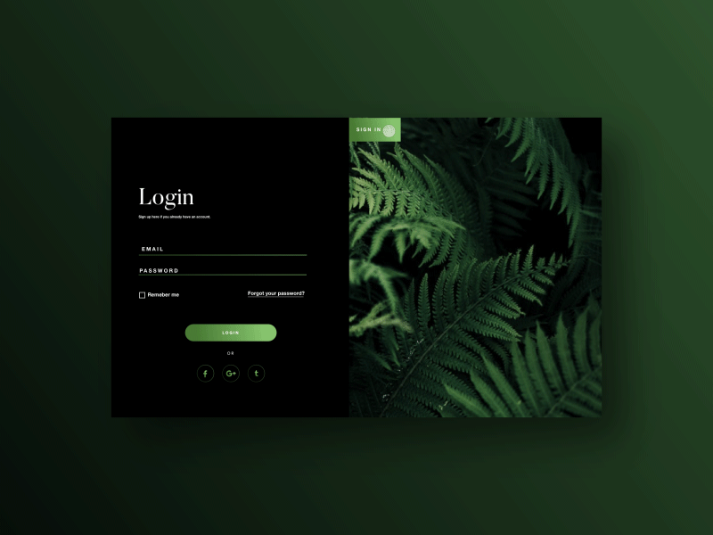Daily UI Challenge #01 Sign in