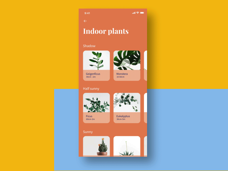 E-commerce App Interface for Plants