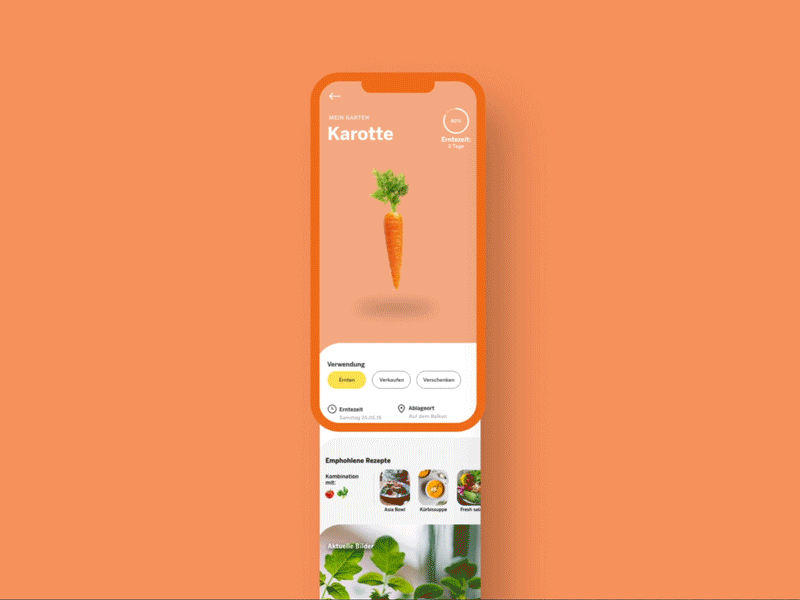 Flying Veggies - App design