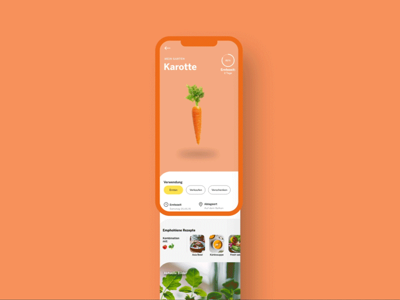 Flying Veggies - App design adobe live adobe xd adobexd after effects app appdesign autoanimate colors data food recipes ui ux vegetable