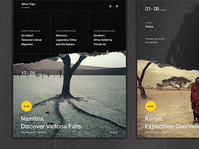 National Geographic animal animation black interaction minimal motion ui ux web