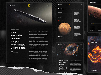 National Geographic animal animation black interaction minimal motion ui ux web