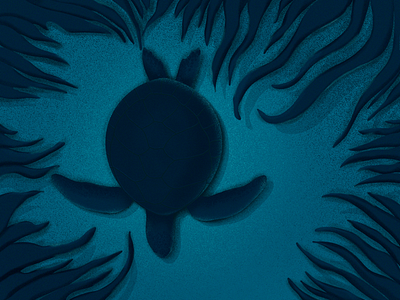 Turtle agency clean drawing estonia etheric illustration mono ocean procreate sea shadow turtle water