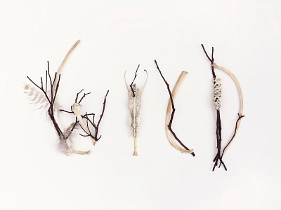 Wild Typography with Found Objects animalistic art art direction artist artwork bones earthy feathers hawk logo mother earth photography primal spiritual spirituality still life type typography wild
