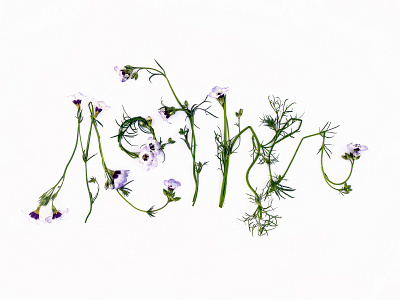 Motherish art artwork flower flowers gilia green illustration logo melissa feudi mother motherhood mothers day mothersday photography purple typography