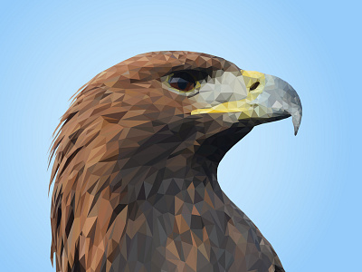 Polygonal Golden Eagle bird golden eagle illustration nature polygonal print