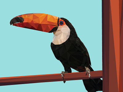 Polygonal Toucan bird illustration nature polygonal print toucan