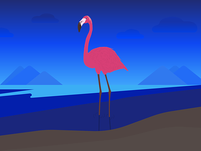 Flamingo art bird blue branding cute design designer flamingo flamingos graphic design illustration illustrator logo motion graphics new nightview pink sea trendy vector