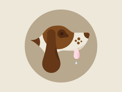 Buddy basset hound dog travis ladue