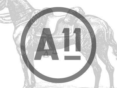 Anson dribbble 2