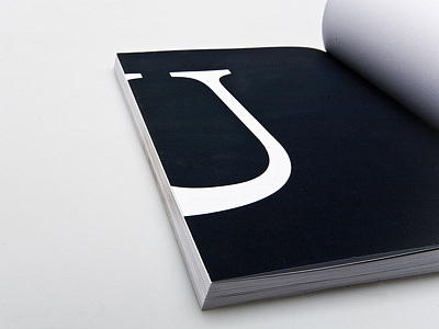 100days - studiogoeddertz book editorial typography