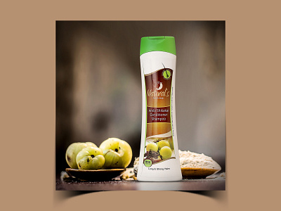 Amla Shikakai Conditioner Shampoo brand branding concept conditioner design illustration label label design logo package packaging packaging design packagingpro product shampoo shikakai