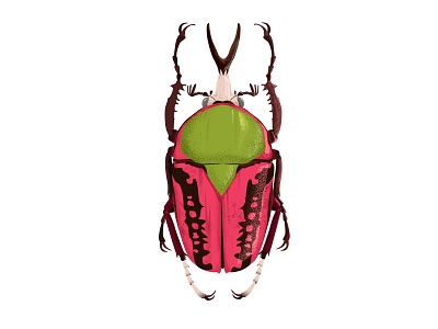 Shot4 Insect digital illustration illustrator photoshop
