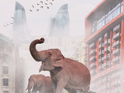 Free the animal 🐘 Elephants on the bridge. azerbaijan baku building design illustration logo mockup photoshop postcard poster