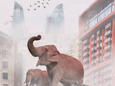 Free the animal 🐘 Elephants on the bridge.