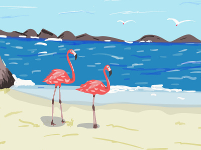 Flamingos art illustration illustrator vector vector illustration