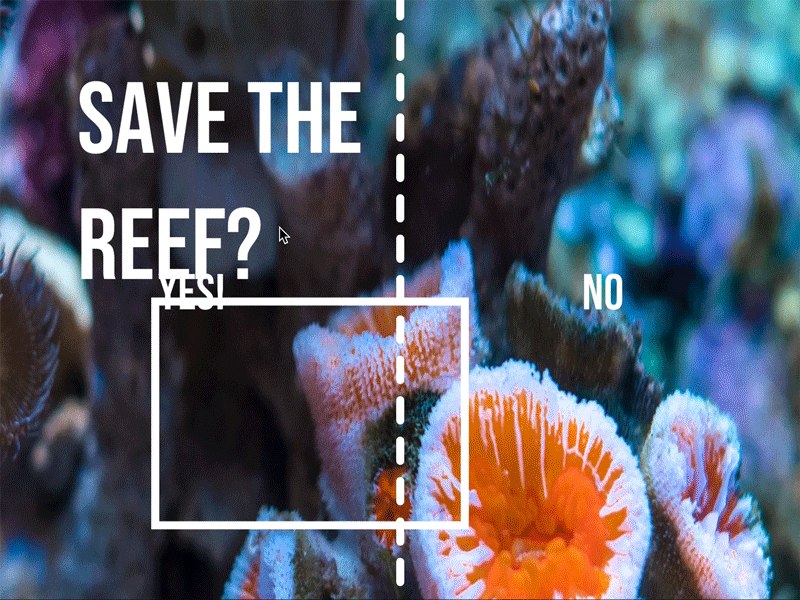Save The Reef - Interactive collage activism coding collage coral reef corals creative coding environmental activism interaction design interactive art javascript js p5 p5.js photography processing reef save the reef ui ui designer