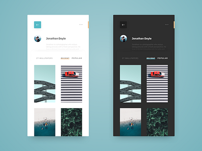 Wallpaper App - Light and Dark Mode app clean dark app dark mode design iphone x ui ux
