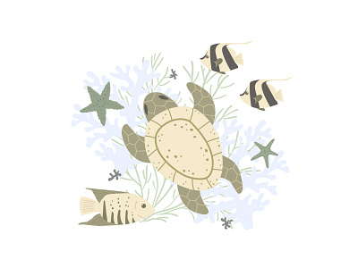 turtle cartoon childish design fish graphic illustration ocean sealife seaweed turtle vector