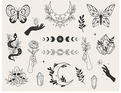 forest mystery set celestial forest graphic design hand illustration lineart nature plant vector