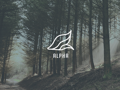 Alpha Logo (unused) branding design flat graphic design identity illustration illustrator layout logo minimal