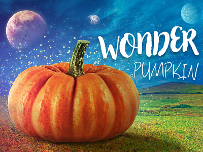 Wonder Pumpkin