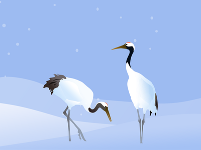 雪地里的两只丹顶鹤 插图