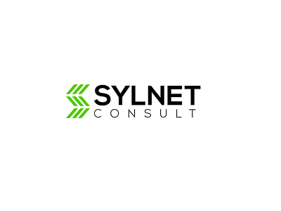 Sylnet Consult Identity logo branding identity