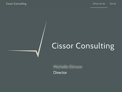Cissor Consulting holding page one page
