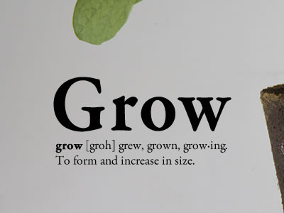 Grow grow project12words